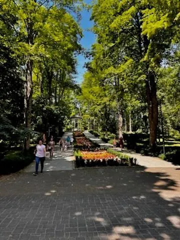 Appartement Piastowska 2 *